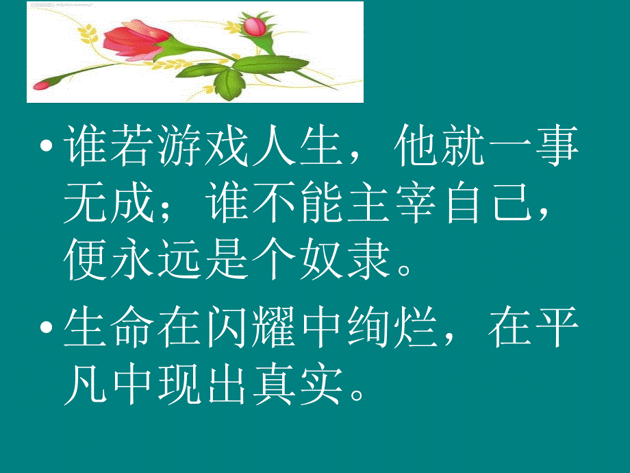 19生命生命 (3)_第4页