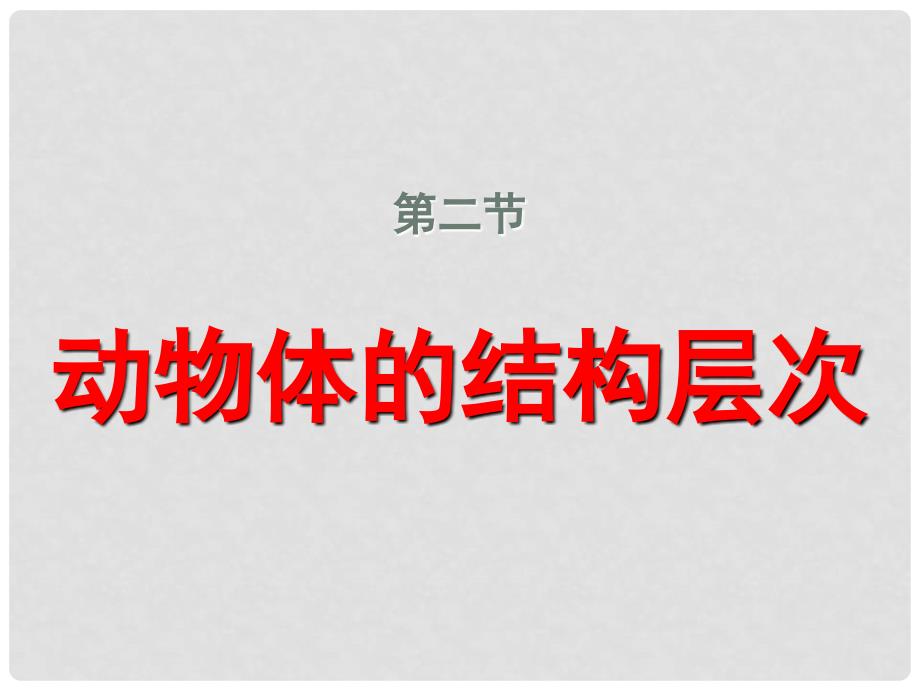 河南省郑州高新技术产业开发区实验中学七年级生物上册 2.2.2 动物体的结构层次课件1 （新版）新人教版_第1页