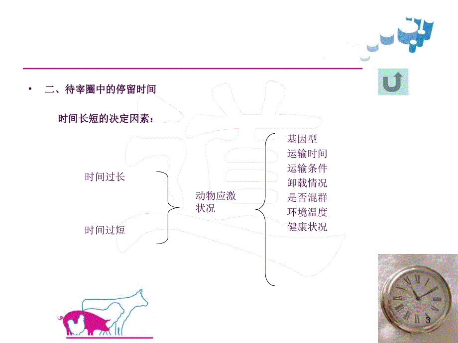 待宰环境和设施要求ppt课件_第3页