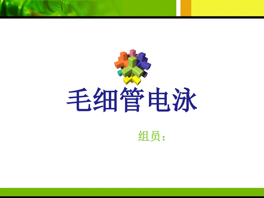 高效毛细管电泳技术.ppt_第1页