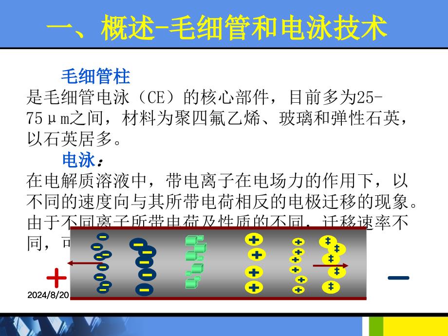 高效毛细管电泳技术.ppt_第3页