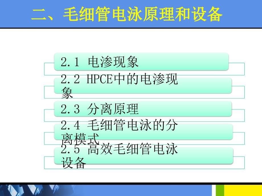 高效毛细管电泳技术.ppt_第5页