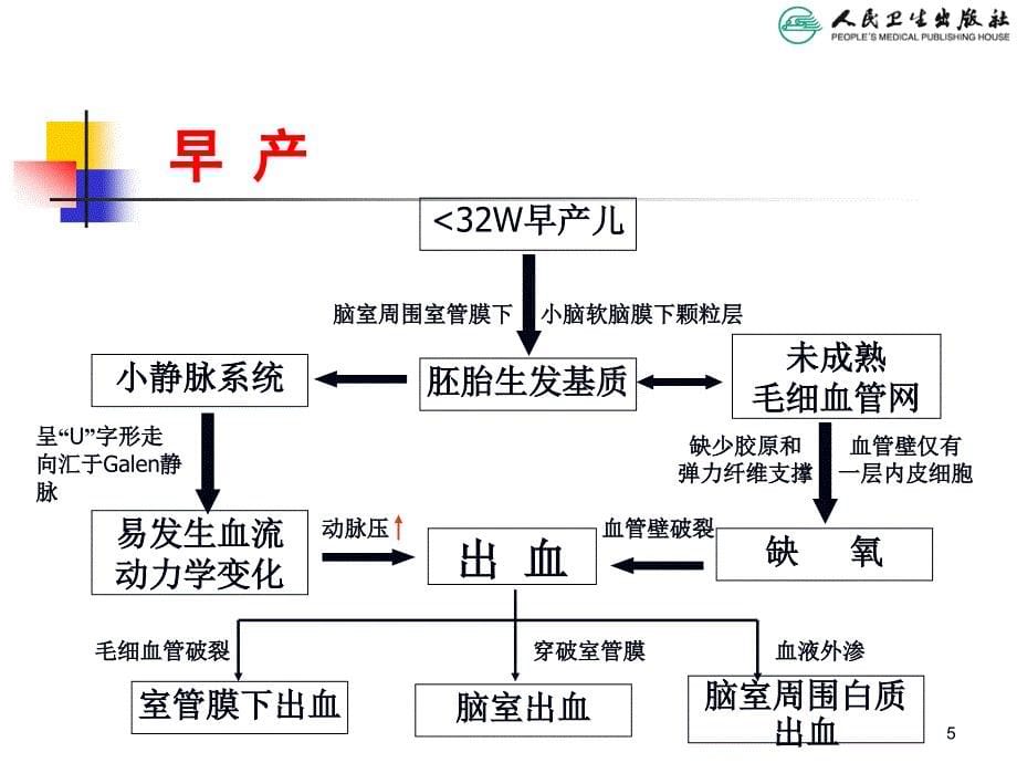 儿科学教学课件：新生儿颅内出血_第5页