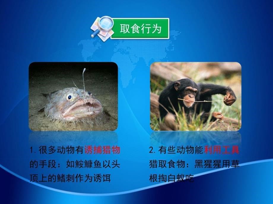 八年级生物上册第16章第2节动物行为的主要类型课件1北师大版课件_第5页