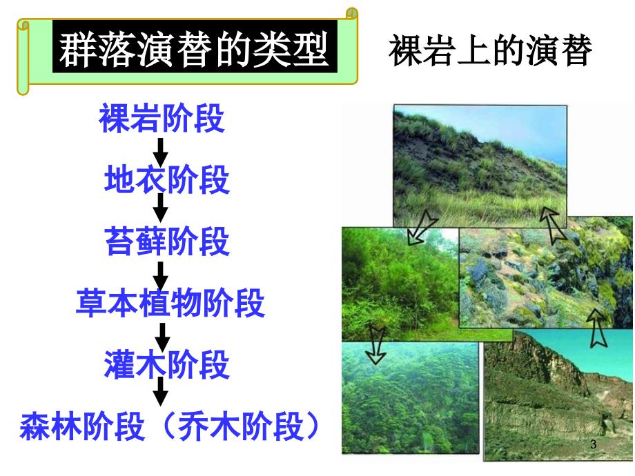 群落的演替很实用_第3页