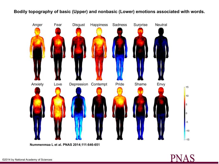 不同情绪下人体表温度分布图2014ppt课件_第1页
