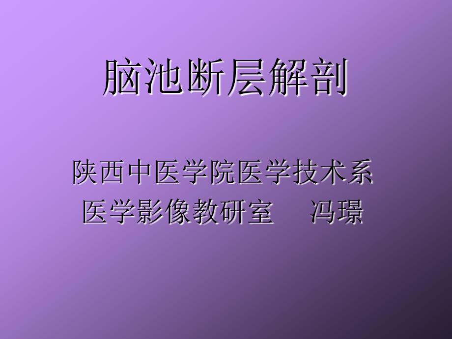 脑池断层解剖1_第1页