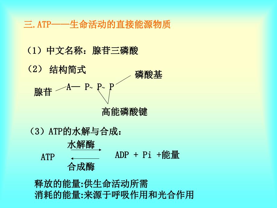 生物体内的化学反应2_第4页