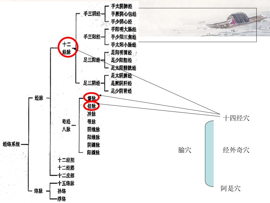 经络的功能与应用_第3页