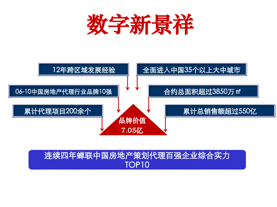 新景祥镇江中冶蓝城项目发展思路沟通_第2页