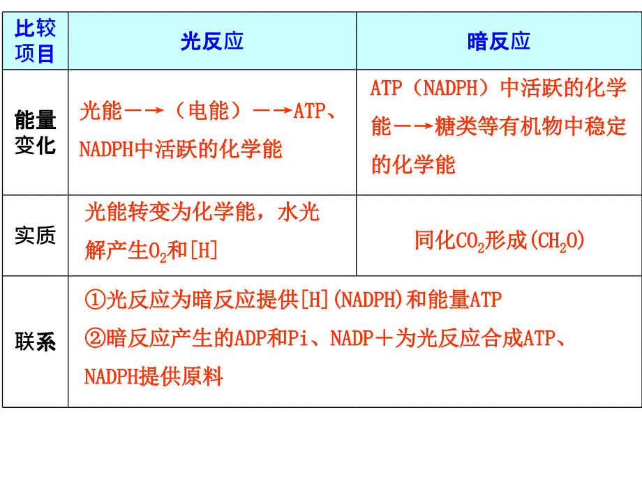 能量之源——光合作用精品教育_第4页