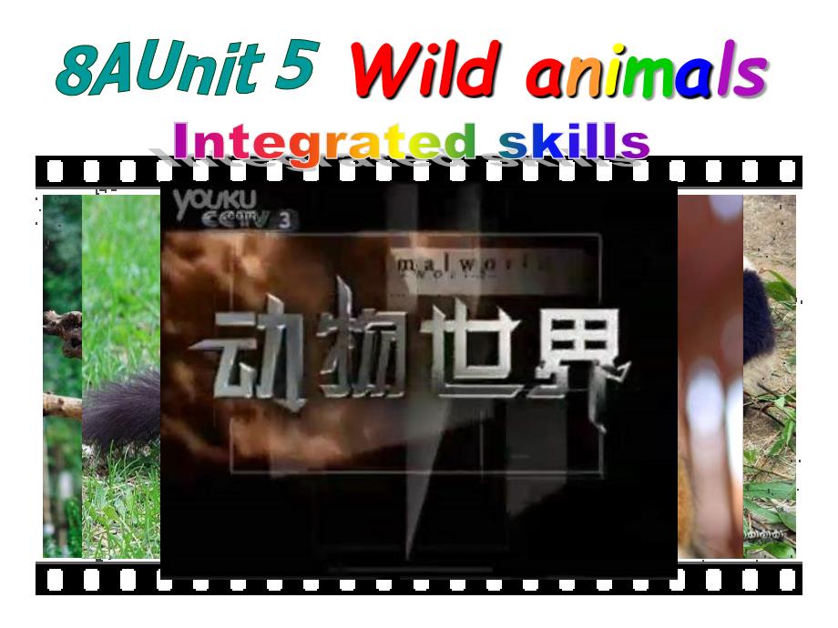 江苏省永丰初级中学八年级英语上册《Unit 5 Wild animals Integrated skills》课件 （新版）牛津版_第1页