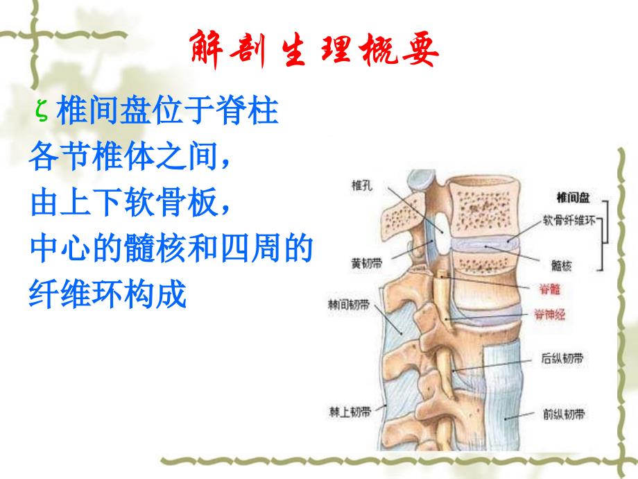 腰椎间盘突出症护理.ppt_第2页