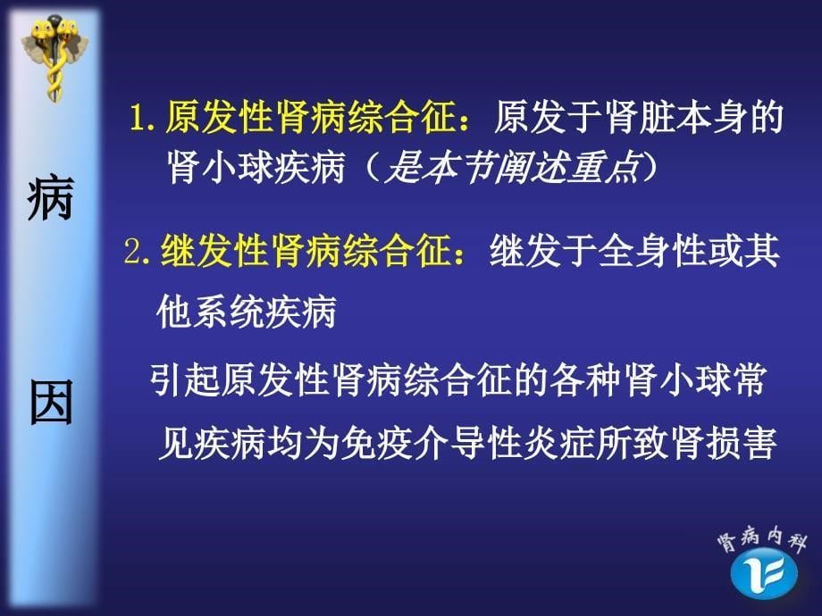 肾病综合征课件s_第5页