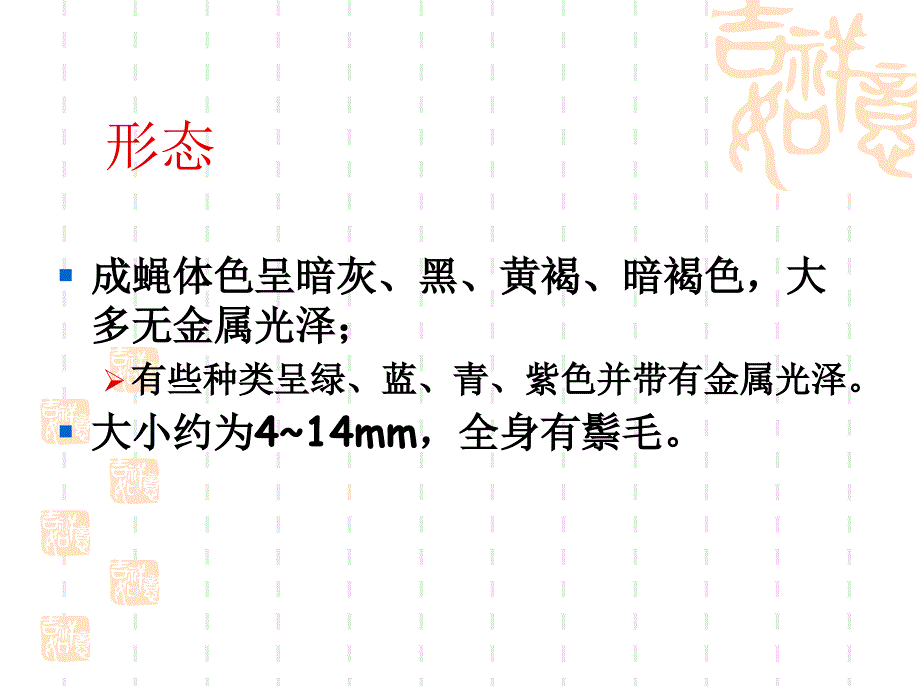 人体寄生虫学课件医学节肢动物.ppt_第4页