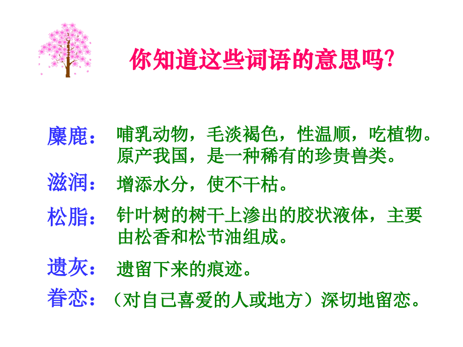 《这片土地是神圣的》完美版ppt课件_第3页