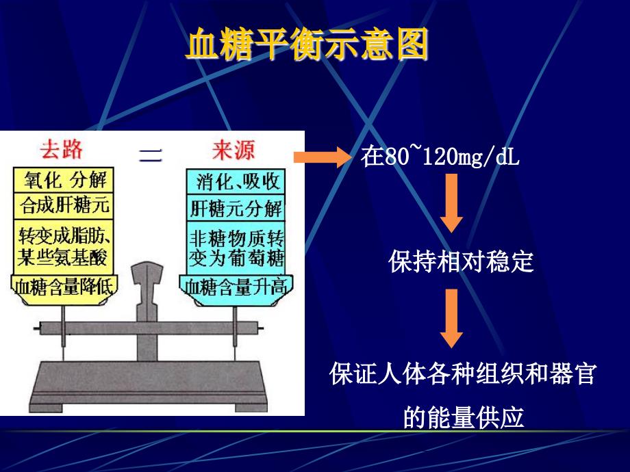 《血糖的调节》PPT课件_第4页