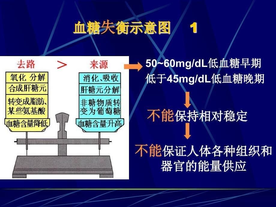 《血糖的调节》PPT课件_第5页