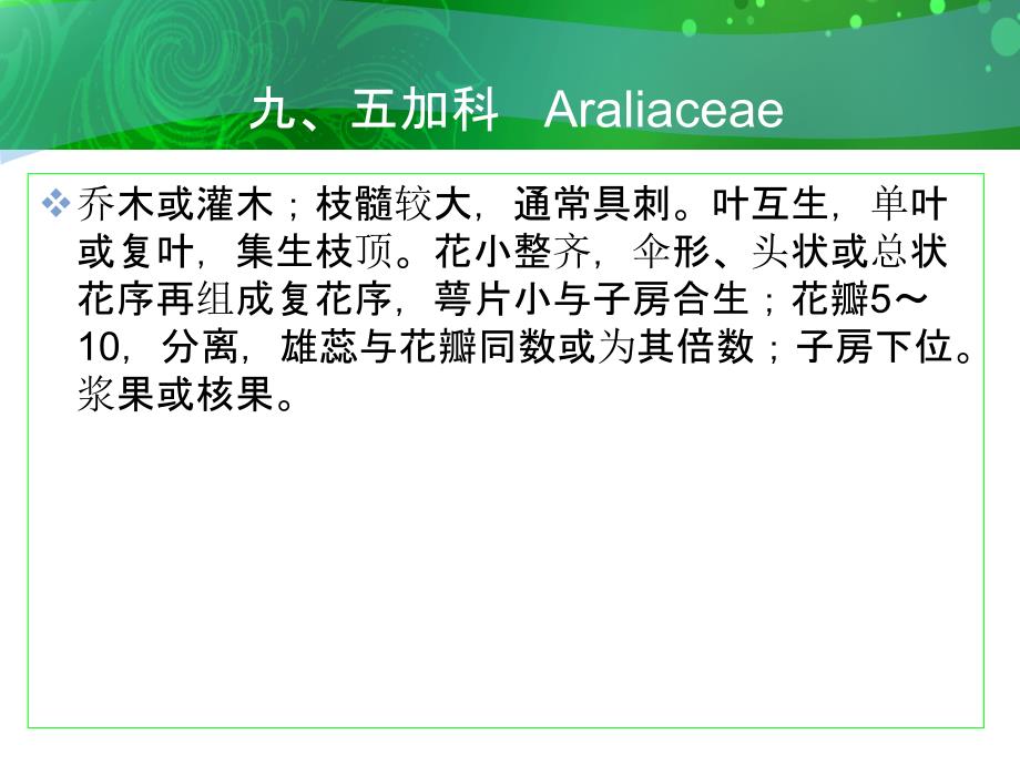 九五加科Araliaceae精品PPT课件_第1页