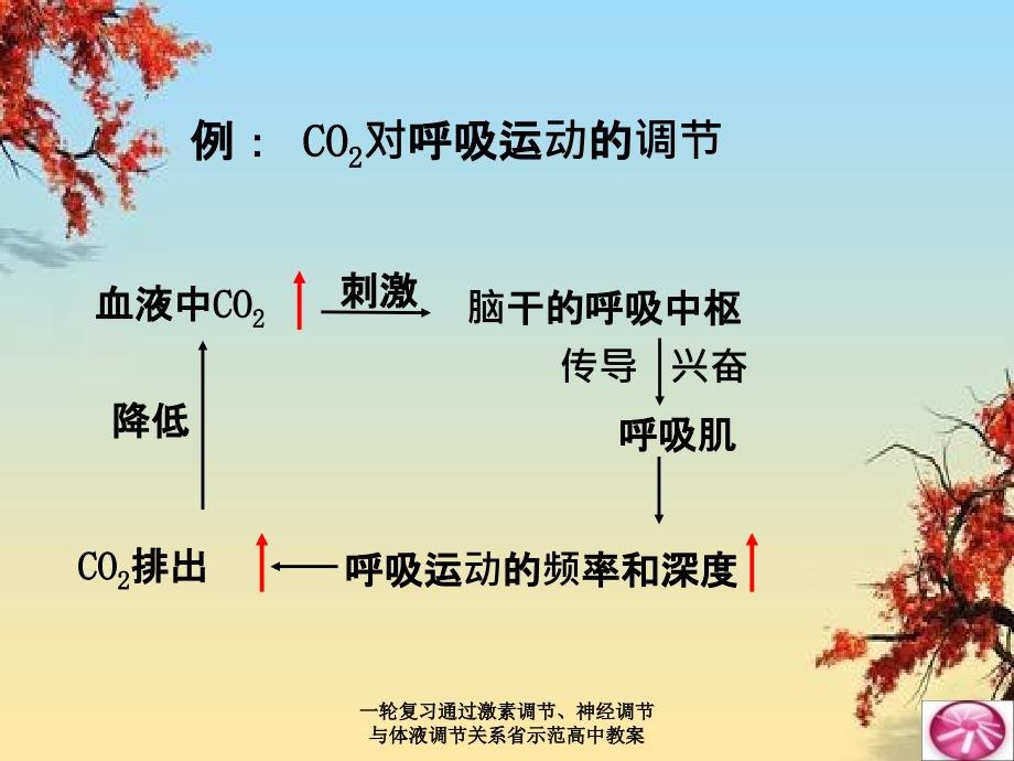 一轮复习通过激素调节神经调节与体液调节关系省示范高中教案_第3页