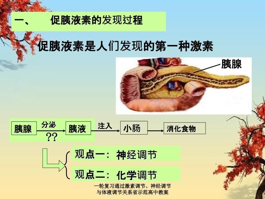 一轮复习通过激素调节神经调节与体液调节关系省示范高中教案_第5页