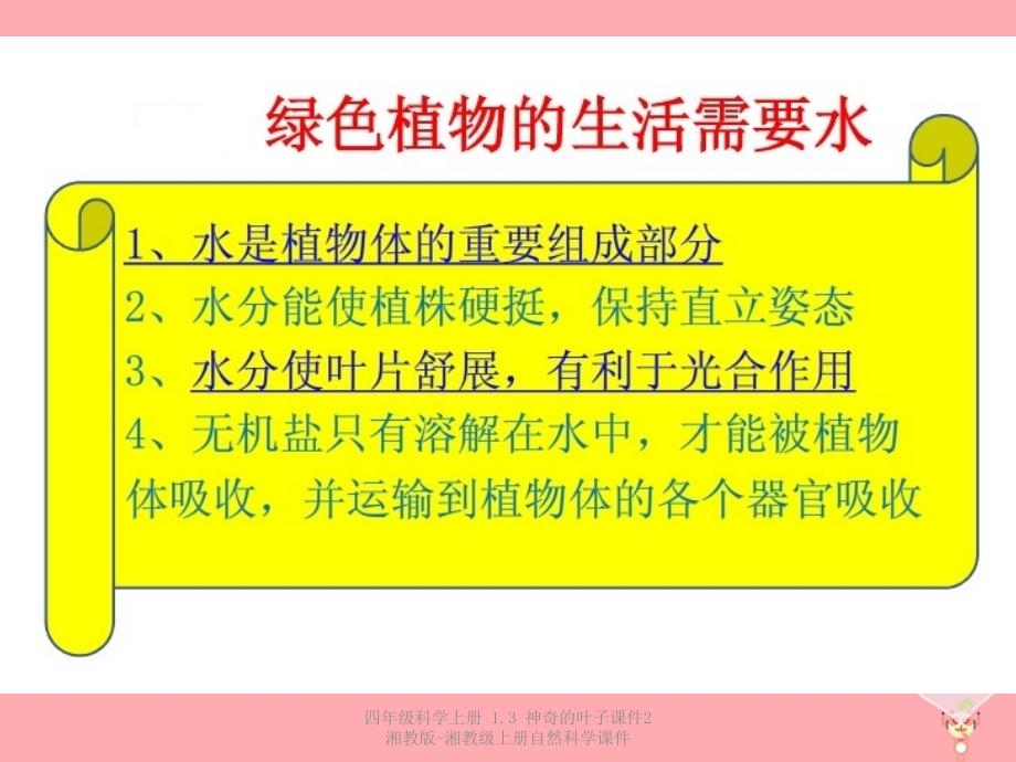 最新四年级科学上册1.3神奇的叶子2_第2页