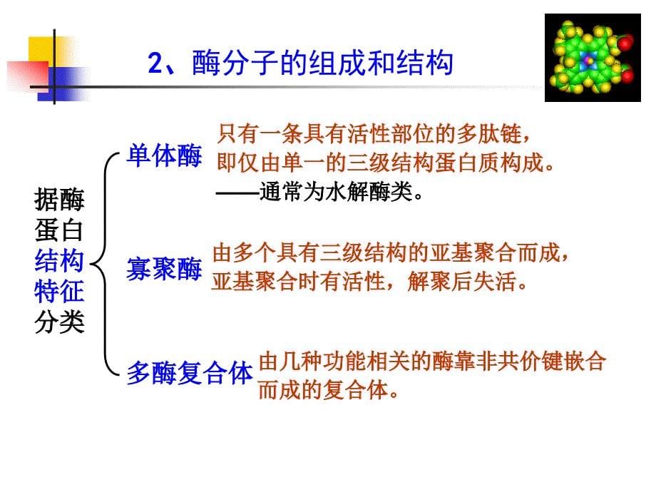 食品化学-第八章-酶_第5页