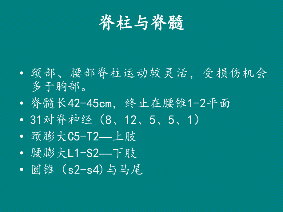 脊髓损伤ppt课件_第3页