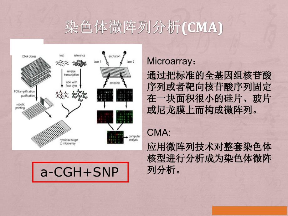 CMA在产前诊断中的应用_第4页