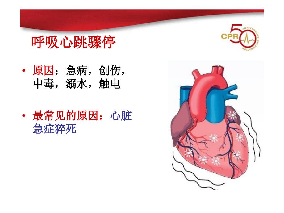 心肺复苏指南的解读_第4页