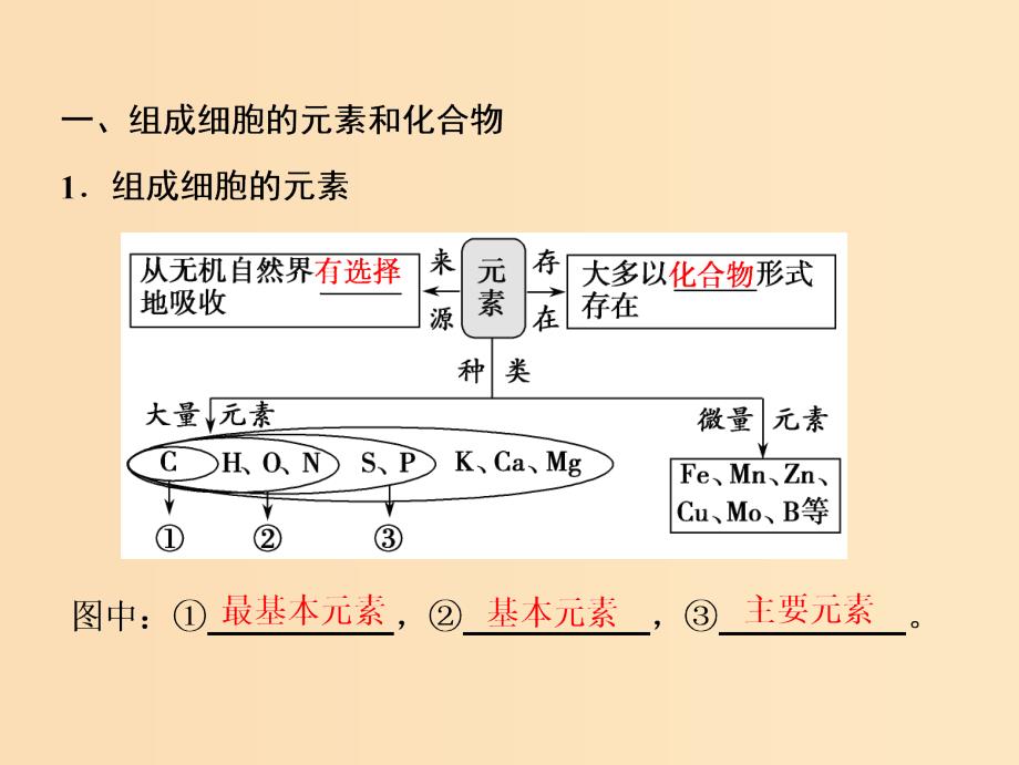 2019版高考生物一轮复习 第一单元 细胞的化学组成 第一讲 细胞中的元素和化合物课件 苏教版.ppt_第4页