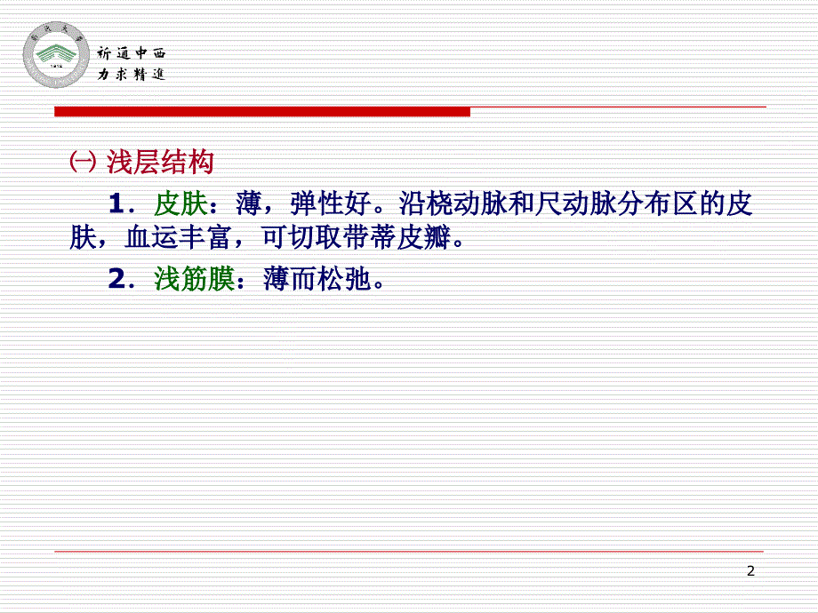 医用局部解剖学臂肘和前臂前区_第2页