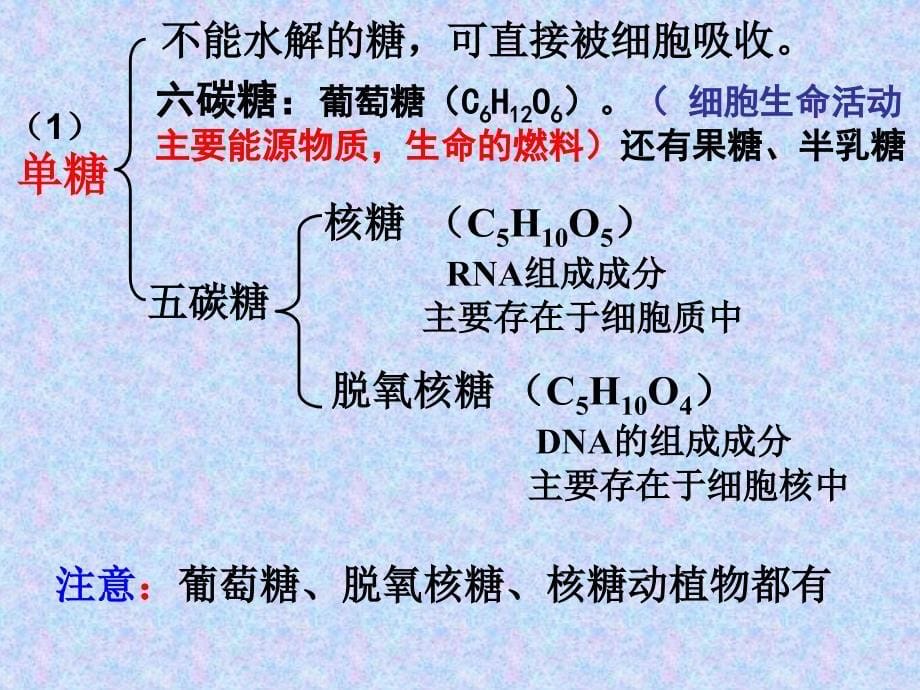 第4节细胞中的糖类和脂质88_第5页