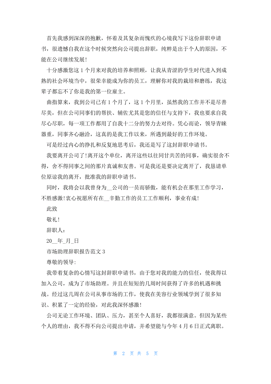 2023年份市场助理辞职报告例文_第2页