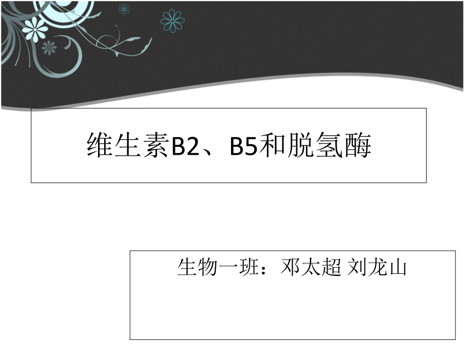 维生素bb5和脱氢酶_第1页