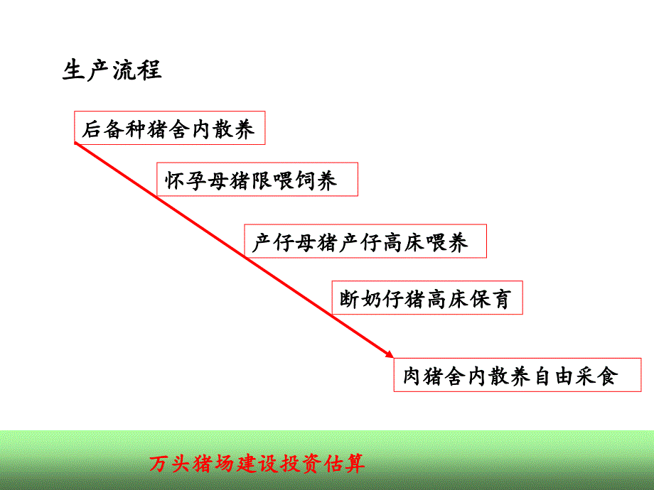 万头猪场投资预算_第3页