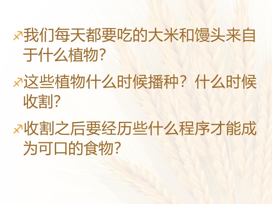 人教版九年级语文上册外古诗词背诵观刈麦研讨课件19_第2页