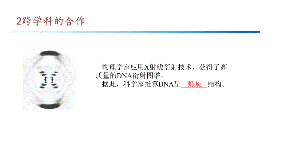 【高中生物】DNA的结构课件+高一下学期生物人教版必修2_第4页