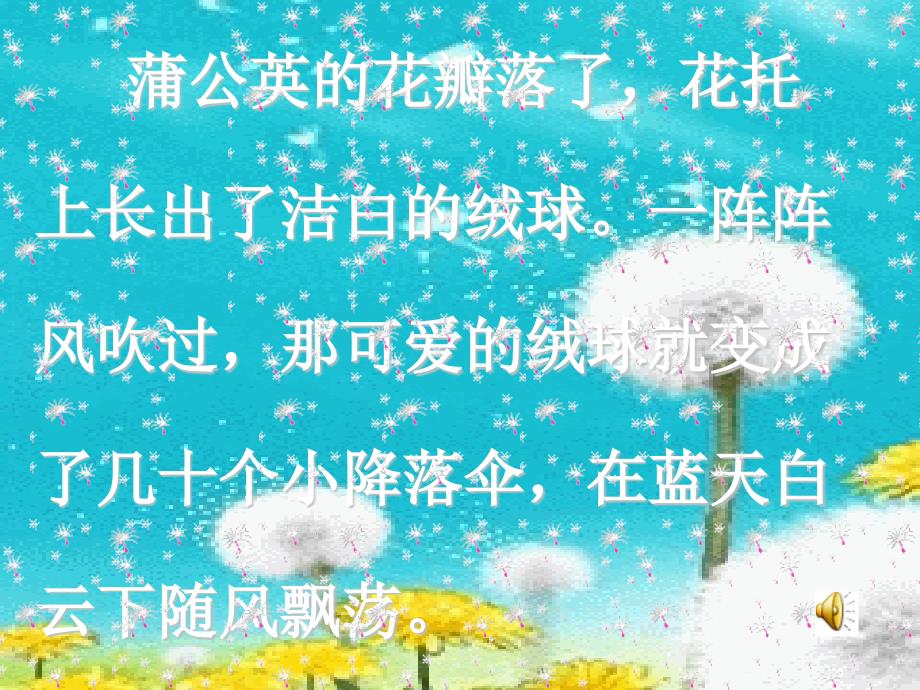 《蒲公英》PPT课件(1)_第4页