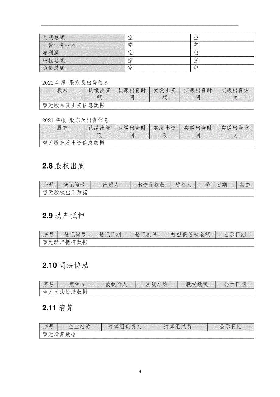 中农（深圳）新基建集团有限公司介绍企业发展分析报告_第5页