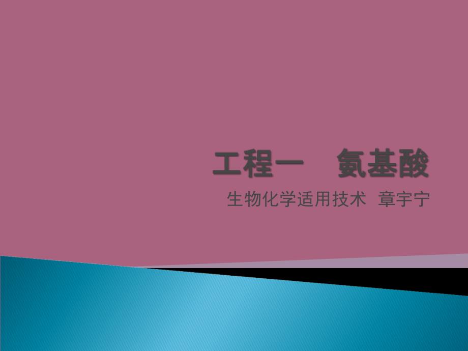 大专生物化学新氨基酸的性质和制备ppt课件_第1页