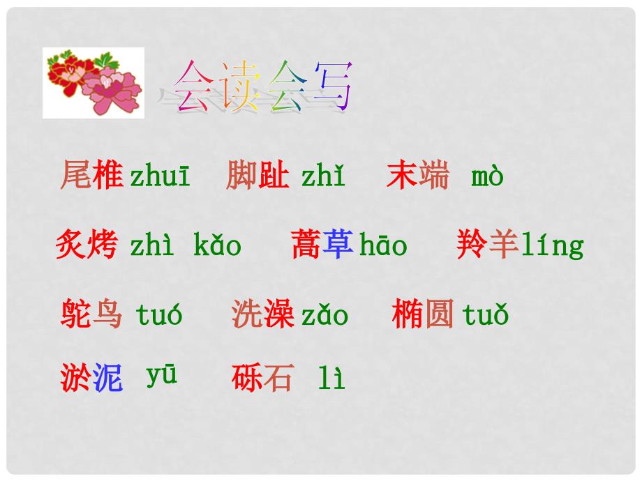 六年级语文下册 黄河象 3课件 北京版_第2页