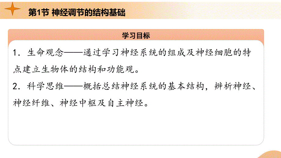 【课件】神经调节的结构基础（课件）（人教版2019选择性必修1）_第4页