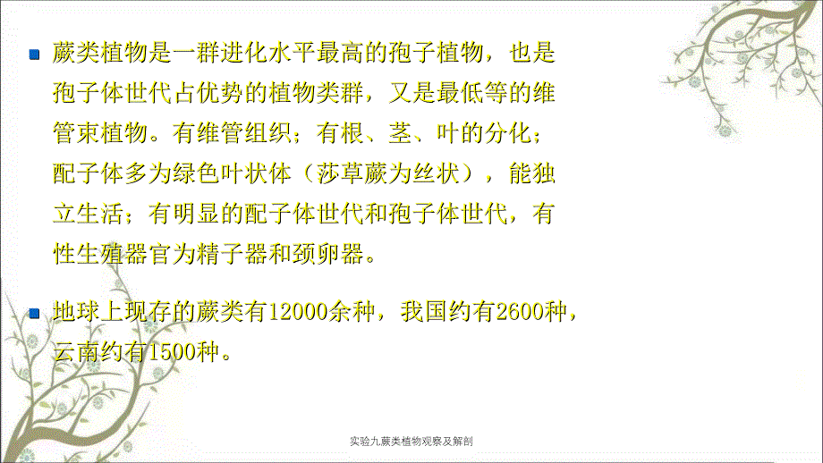 实验九蕨类植物观察及解剖_第2页