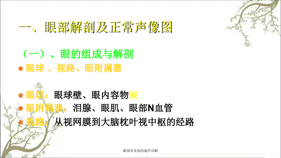 眼部常见病的超声诊断_第2页