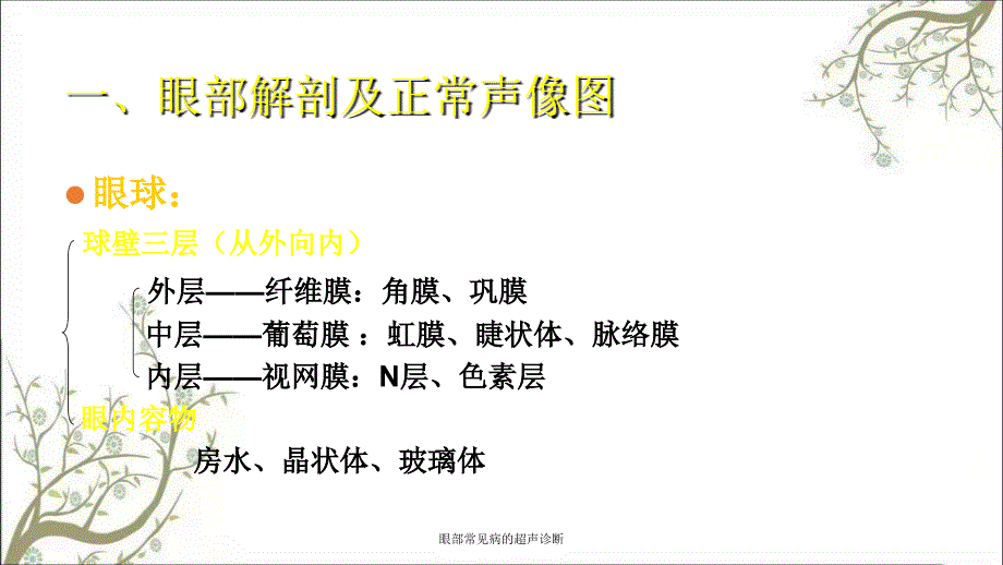 眼部常见病的超声诊断_第3页