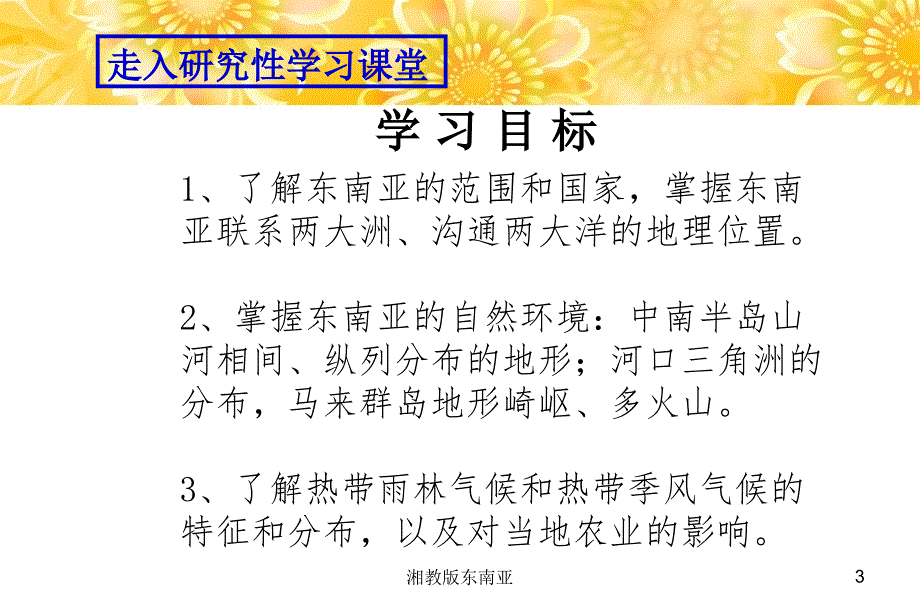 湘教版东南亚课件_第3页