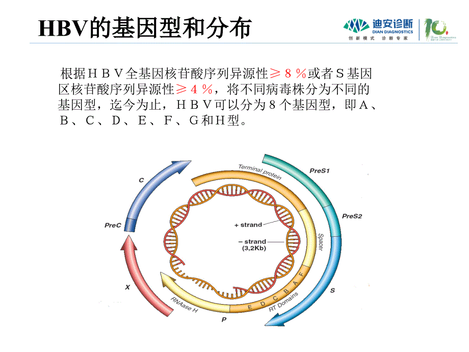 感染组乙肝基因分型和乙肝耐药检测_第2页