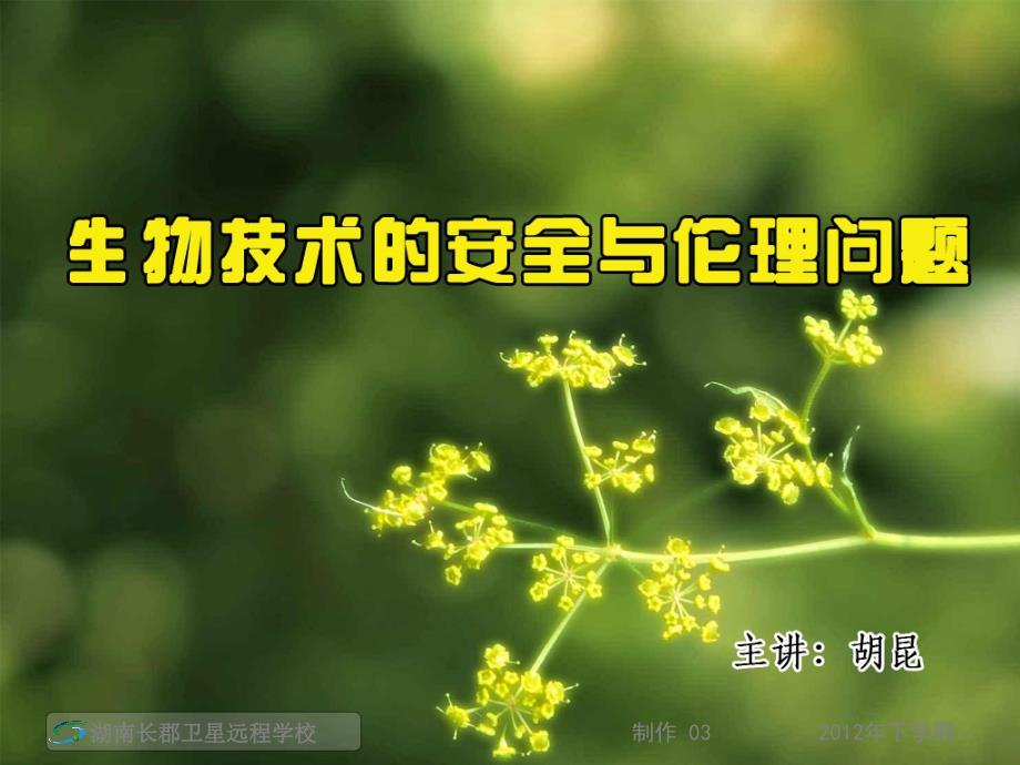 高三生物生物技术的安全与伦理问题与生态工程的基本原理课件_第1页