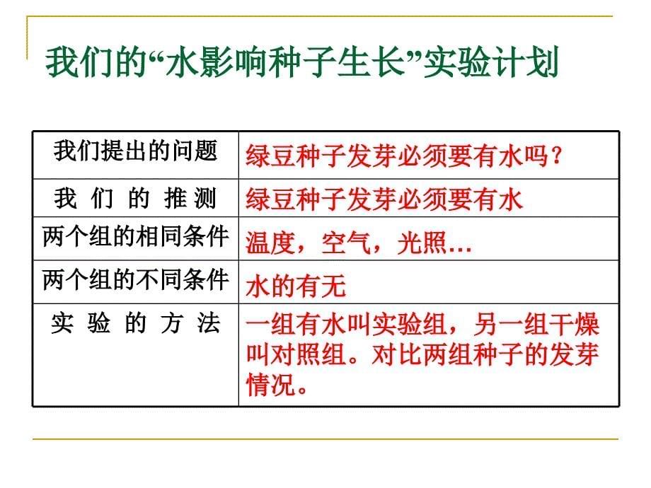 五年级上册科学课件－1.1种子发芽实验一 ｜教科版 (共11张PPT)_第5页